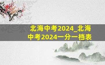 北海中考2024_北海中考2024一分一档表