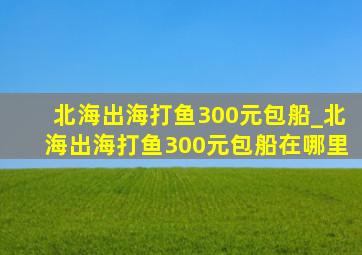 北海出海打鱼300元包船_北海出海打鱼300元包船在哪里