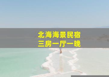 北海海景民宿三房一厅一晚