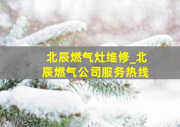 北辰燃气灶维修_北辰燃气公司服务热线