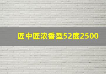 匠中匠浓香型52度2500