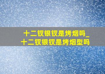 十二钗银钗是烤烟吗_十二钗银钗是烤烟型吗