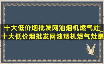 十大(低价烟批发网)油烟机燃气灶_十大(低价烟批发网)油烟机燃气灶是什么品牌