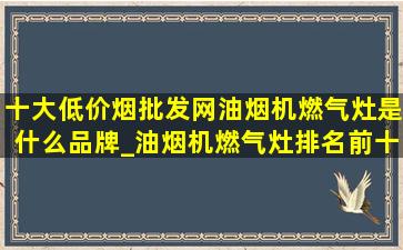 十大(低价烟批发网)油烟机燃气灶是什么品牌_油烟机燃气灶排名前十名的品牌