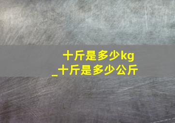 十斤是多少kg_十斤是多少公斤