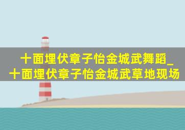 十面埋伏章子怡金城武舞蹈_十面埋伏章子怡金城武草地现场