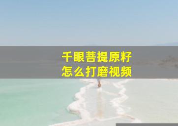 千眼菩提原籽怎么打磨视频