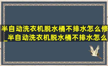 半自动洗衣机脱水桶不排水怎么修_半自动洗衣机脱水桶不排水怎么办