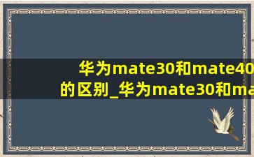 华为mate30和mate40的区别_华为mate30和mate40的区别大不大
