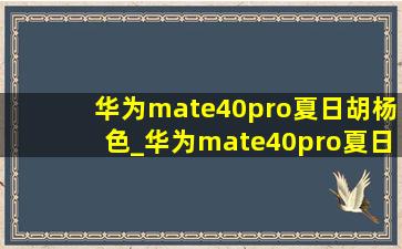 华为mate40pro夏日胡杨色_华为mate40pro夏日胡杨色为什么贵