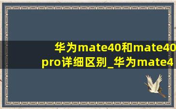 华为mate40和mate40pro详细区别_华为mate40和mate40pro详细对比