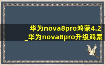 华为nova8pro鸿蒙4.2_华为nova8pro升级鸿蒙4.2