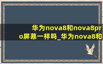 华为nova8和nova8pro屏幕一样吗_华为nova8和nova8pro屏幕区别