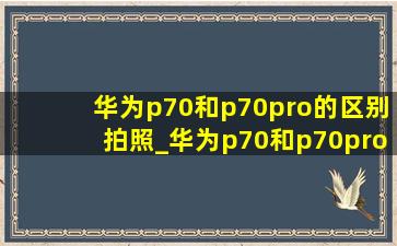 华为p70和p70pro的区别拍照_华为p70和p70pro的区别