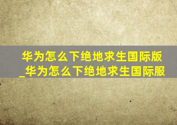 华为怎么下绝地求生国际版_华为怎么下绝地求生国际服