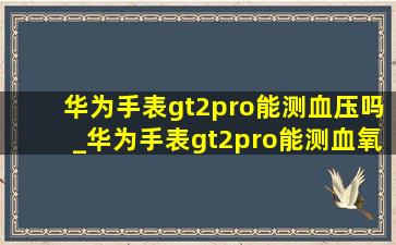 华为手表gt2pro能测血压吗_华为手表gt2pro能测血氧吗