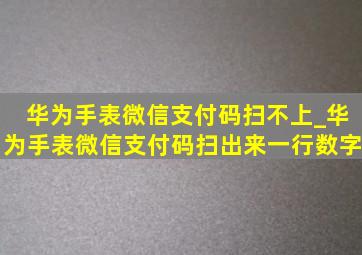 华为手表微信支付码扫不上_华为手表微信支付码扫出来一行数字