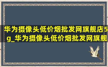 华为摄像头(低价烟批发网)旗舰店5g_华为摄像头(低价烟批发网)旗舰店直播