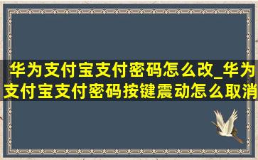 华为支付宝支付密码怎么改_华为支付宝支付密码按键震动怎么取消