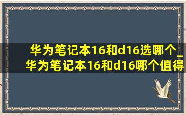 华为笔记本16和d16选哪个_华为笔记本16和d16哪个值得买