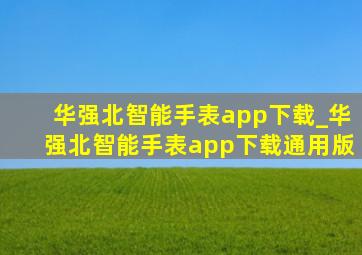 华强北智能手表app下载_华强北智能手表app下载通用版