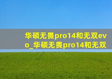 华硕无畏pro14和无双evo_华硕无畏pro14和无双