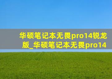 华硕笔记本无畏pro14锐龙版_华硕笔记本无畏pro14