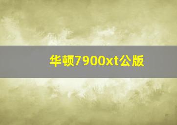 华顿7900xt公版