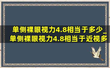 单侧裸眼视力4.8相当于多少_单侧裸眼视力4.8相当于近视多少度