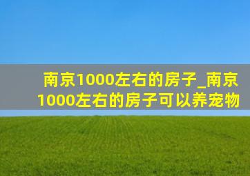 南京1000左右的房子_南京1000左右的房子可以养宠物