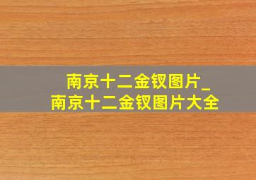 南京十二金钗图片_南京十二金钗图片大全