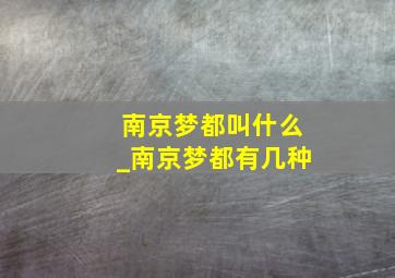 南京梦都叫什么_南京梦都有几种