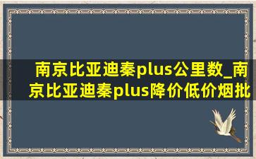 南京比亚迪秦plus公里数_南京比亚迪秦plus降价(低价烟批发网)消息