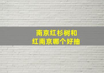 南京红杉树和红南京哪个好抽