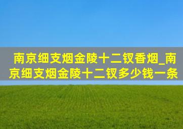 南京细支烟金陵十二钗香烟_南京细支烟金陵十二钗多少钱一条