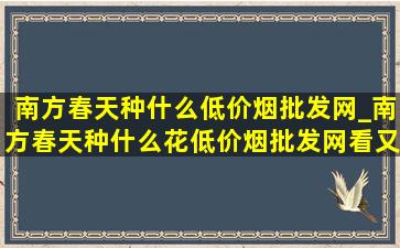 南方春天种什么(低价烟批发网)_南方春天种什么花(低价烟批发网)看又好种