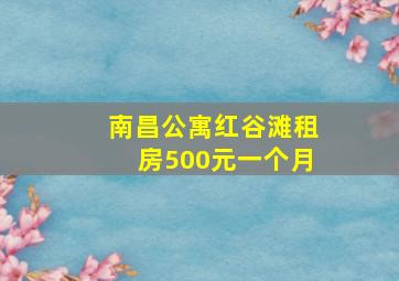 南昌公寓红谷滩租房500元一个月