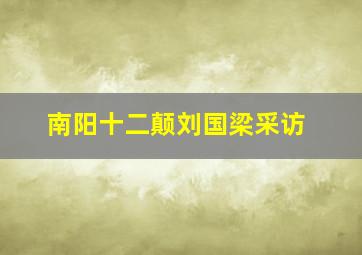 南阳十二颠刘国梁采访