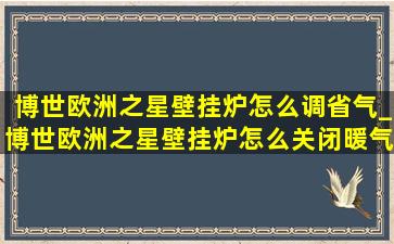 博世欧洲之星壁挂炉怎么调省气_博世欧洲之星壁挂炉怎么关闭暖气