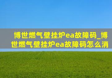 博世燃气壁挂炉ea故障码_博世燃气壁挂炉ea故障码怎么消