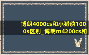 博朗4000cs和小猎豹1000s区别_博朗m4200cs和小猎豹1000s的区别