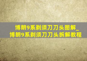 博朗9系剃须刀刀头图解_博朗9系剃须刀刀头拆解教程