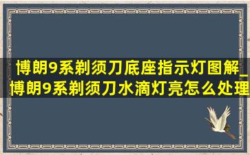 博朗9系剃须刀底座指示灯图解_博朗9系剃须刀水滴灯亮怎么处理