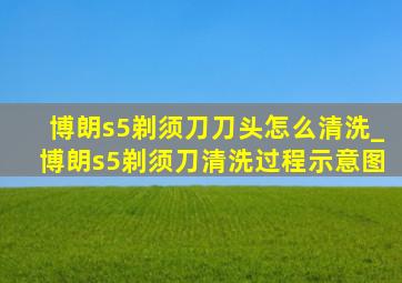 博朗s5剃须刀刀头怎么清洗_博朗s5剃须刀清洗过程示意图