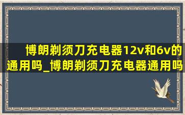 博朗剃须刀充电器12v和6v的通用吗_博朗剃须刀充电器通用吗