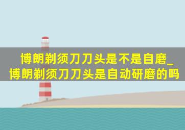 博朗剃须刀刀头是不是自磨_博朗剃须刀刀头是自动研磨的吗