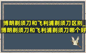 博朗剃须刀和飞利浦剃须刀区别_博朗剃须刀和飞利浦剃须刀哪个好