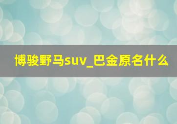 博骏野马suv_巴金原名什么