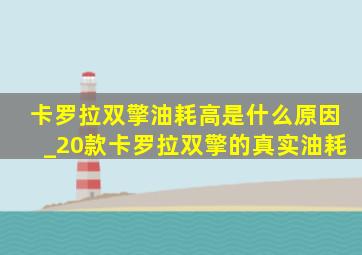 卡罗拉双擎油耗高是什么原因_20款卡罗拉双擎的真实油耗