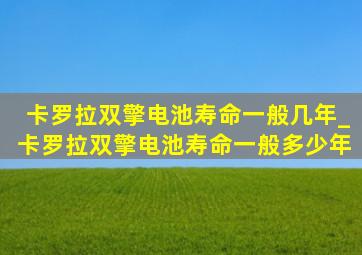 卡罗拉双擎电池寿命一般几年_卡罗拉双擎电池寿命一般多少年